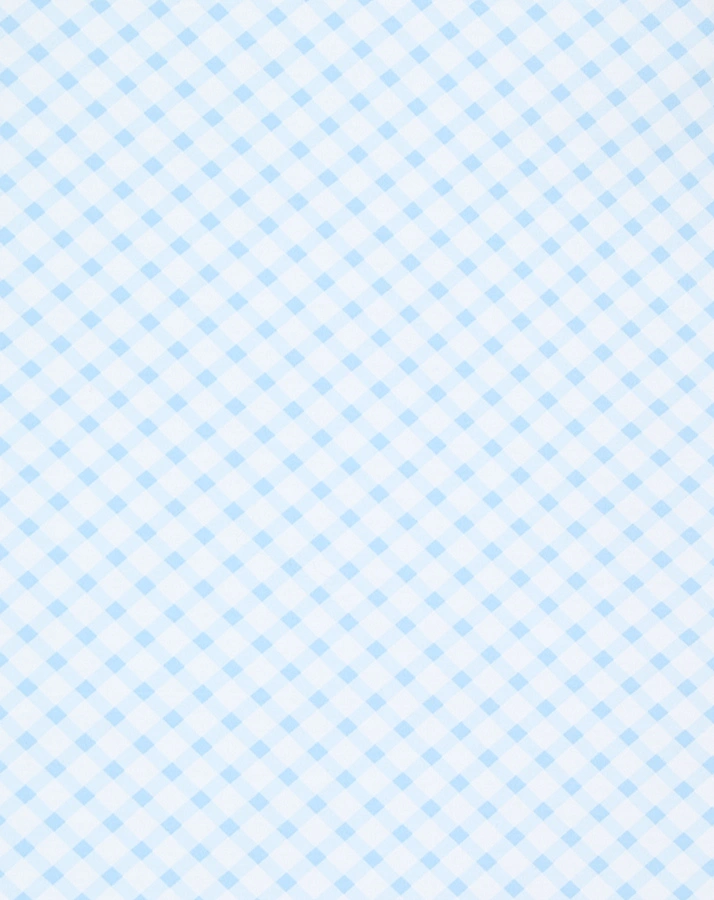 Jersey-Schlafsack BABY-NEST® PRIMA KLIMA KARO in hellblau/weiß