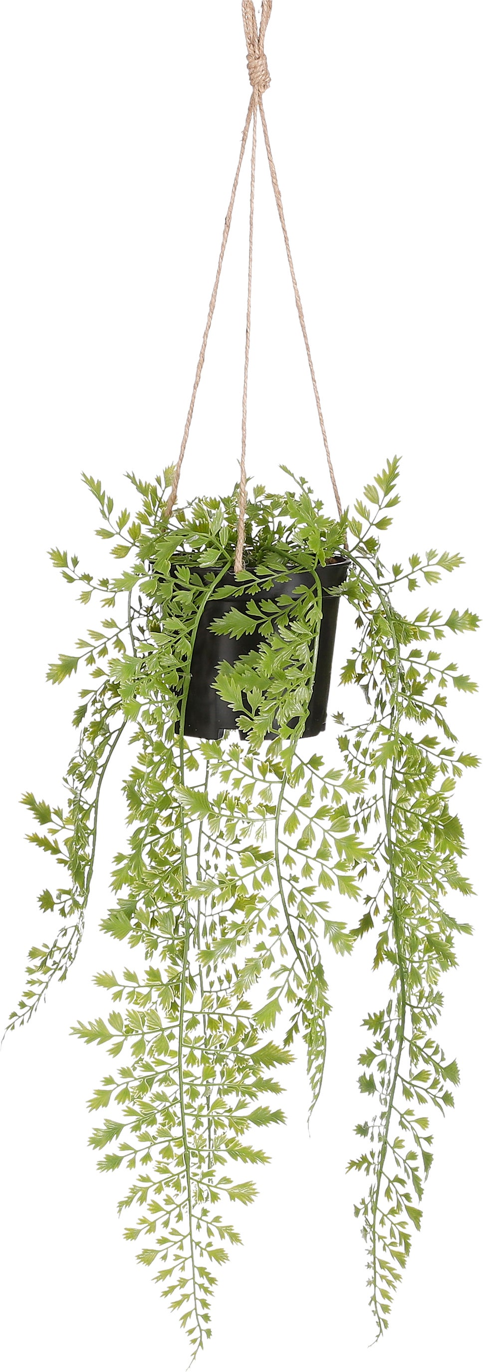 Mica Decorations kunsthangplant varen D 20 H 47 cm