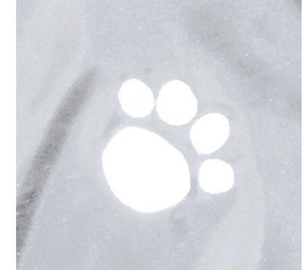 Trixie Hunde-Regenmantel Tarbes