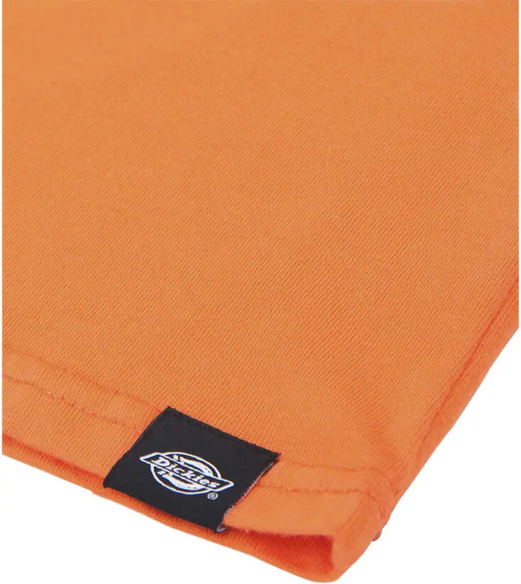 Dickies Horseshoe T-Shirt | SkatePro