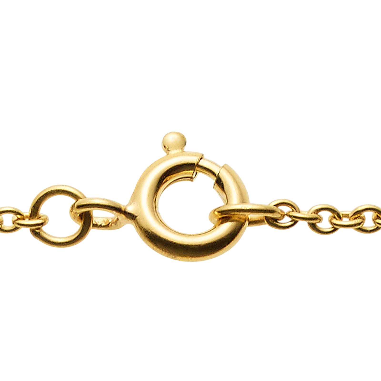 Collier 50cm vergoldet mit Muschel Anhänger