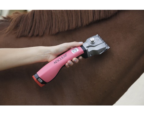 Bonum accu tondeuse voor grote dieren voor paarden, inclusief 1 accu en 23/31 tandenset, rood