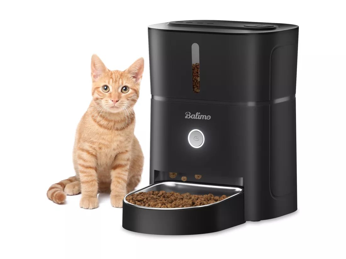 3L Distributeur de Croquettes pour Chat et Chien Noir Distributeur Automatique de Nourriture avec Bol en Acier Inoxydable 6 Repas par Jour