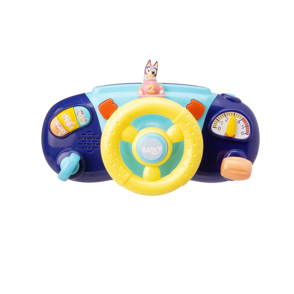 Bluey activiteiten autostuurtje