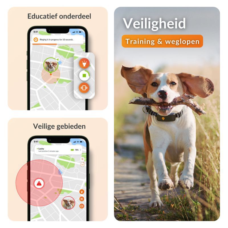 Weenect XT - Halsband met GPS tracker - Zwart