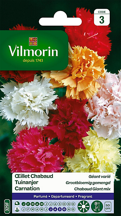 Graines d'Oeillet Chabaud Géant Varié Vilmorin