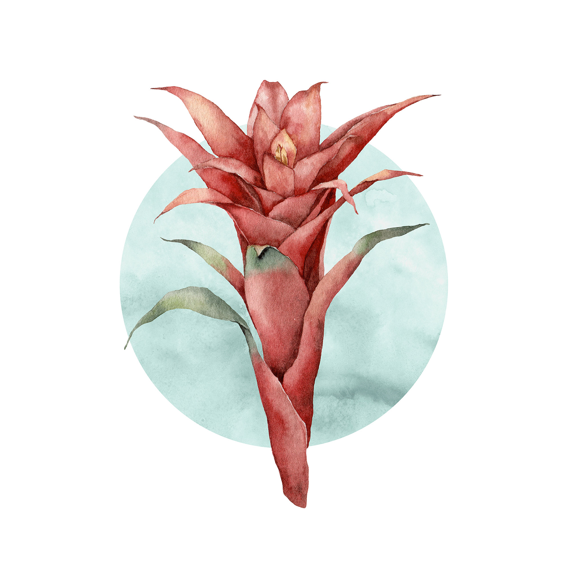 Wandbild FUNKY FLOWER - 50x70 cm