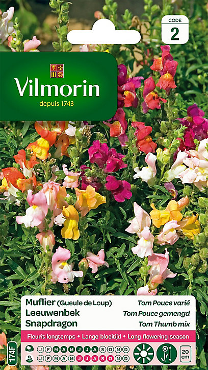 Graines de Muflier Tom Pouce Varié (Geule de Loup) Vilmorin
