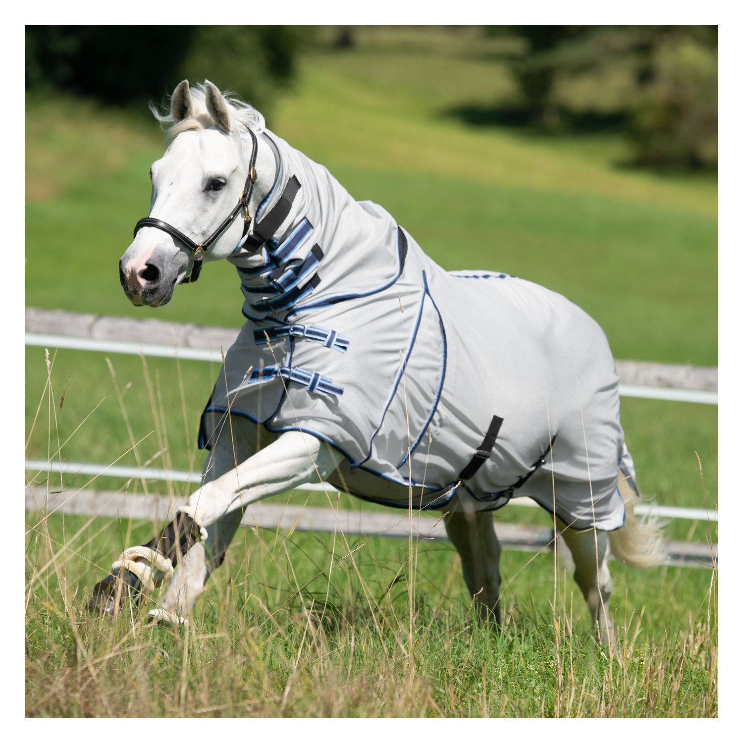Horse-friends Fliegendecke mit elastischem Einsatz  - silber/blau