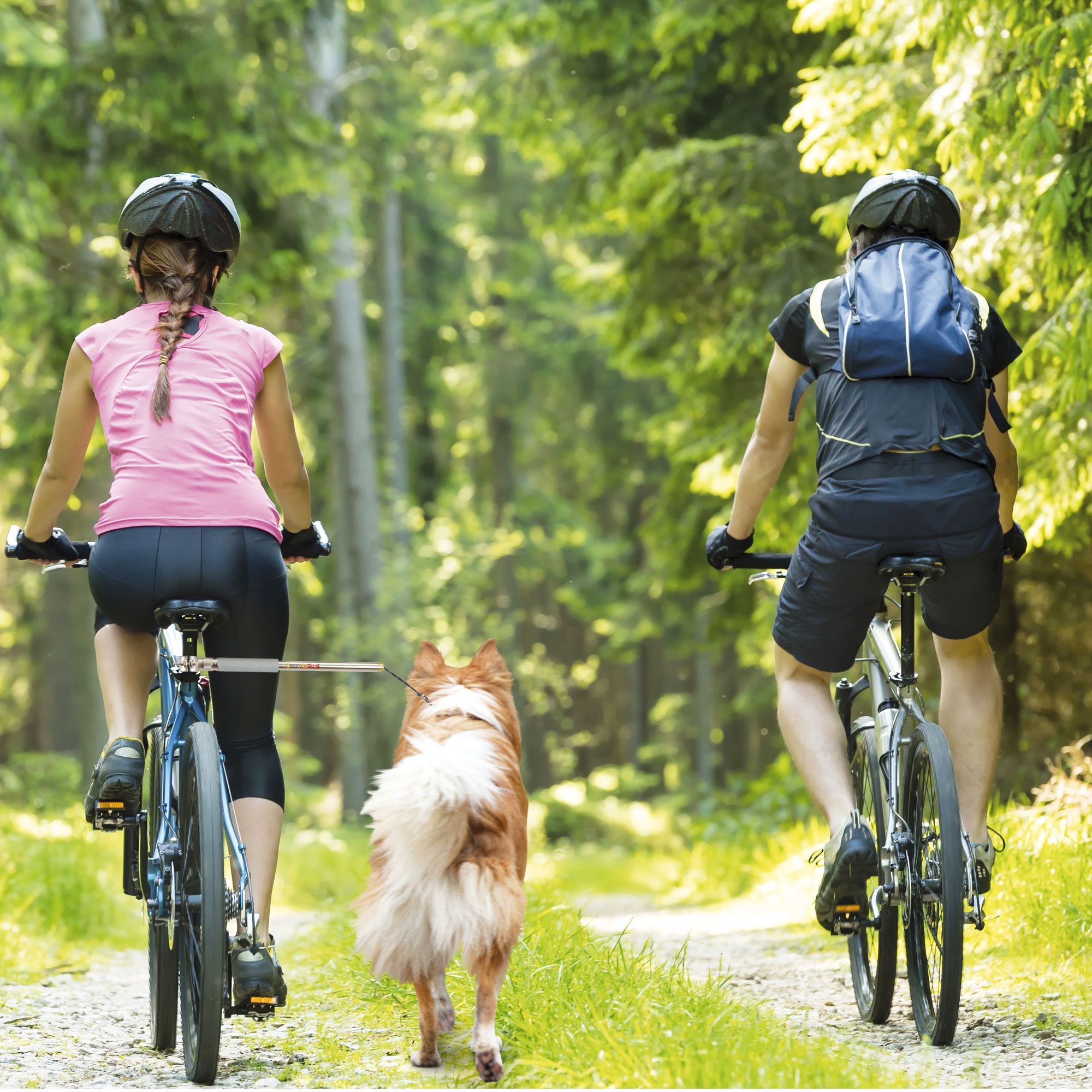 Walky-Dog Plus - die dritte Hand - Fahrradhalter für den Hund