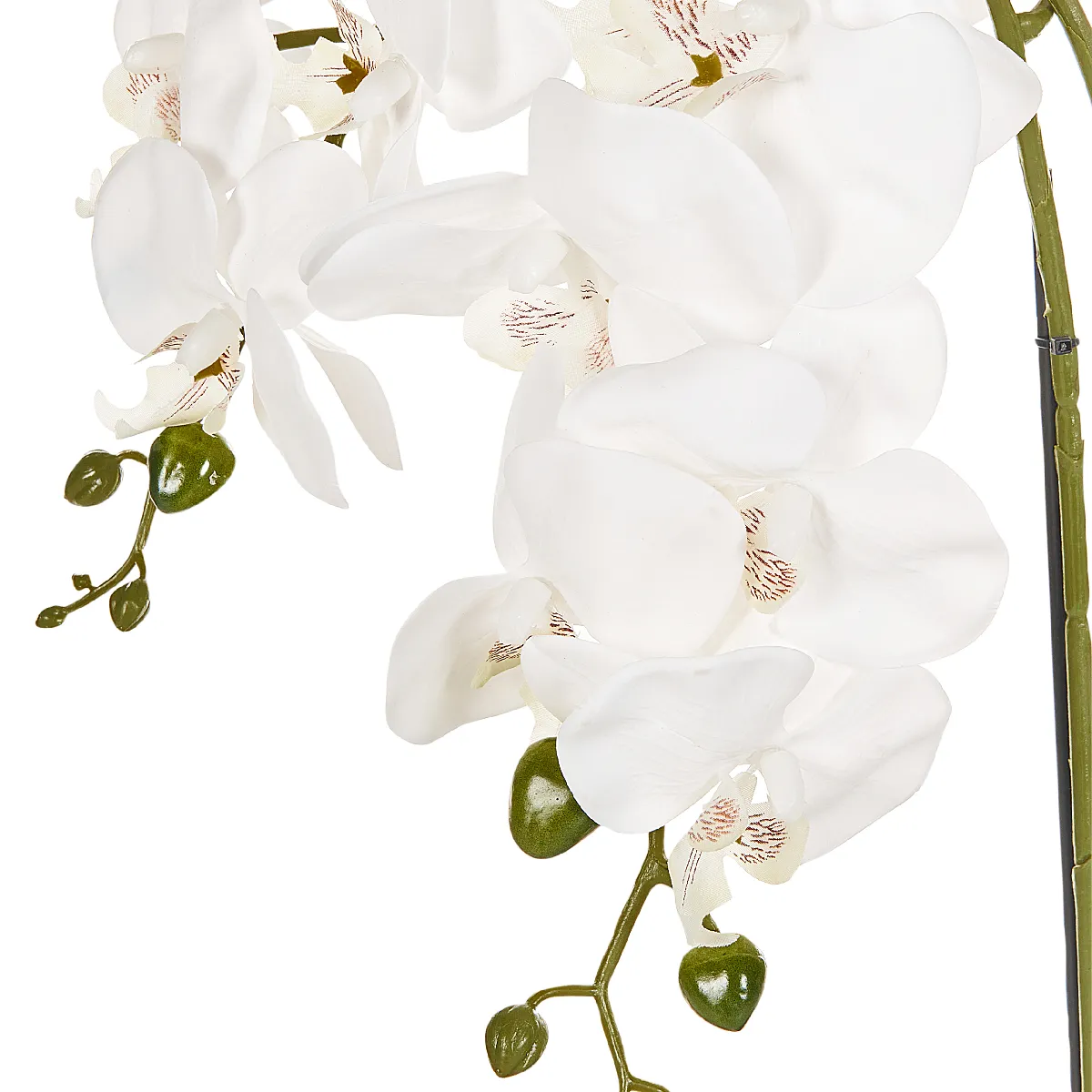 BELIANI ORCHID 59 cm Blanc