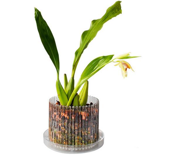Orchitop® Orchideentopf S Set, rund, ca. Ø10