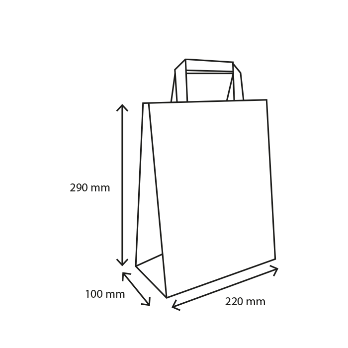 Papieren tasjes Klein bubbles 80 gr. 22+10x29cm