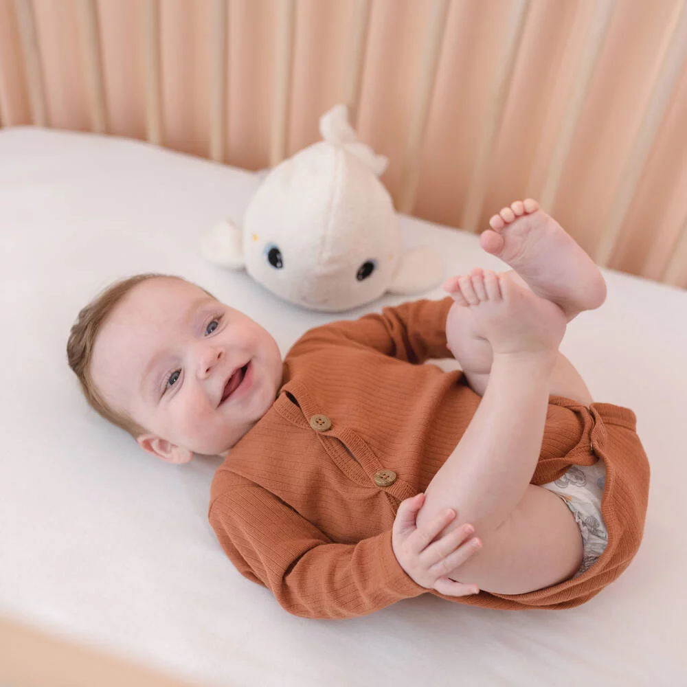 VEILLEUSE - PELUCHE BELUGA