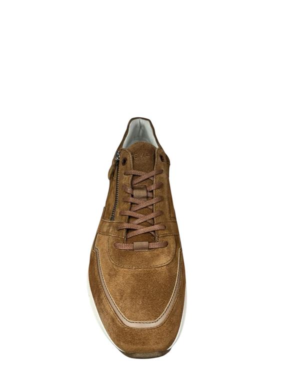 Greve 3284.12 Walker Sella Suede