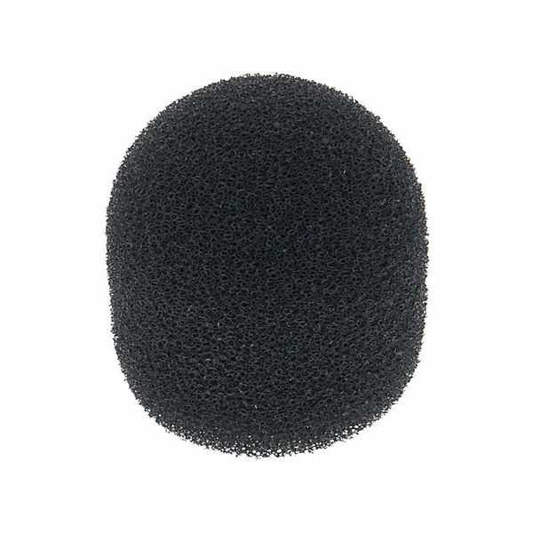 beyerdynamic WS10