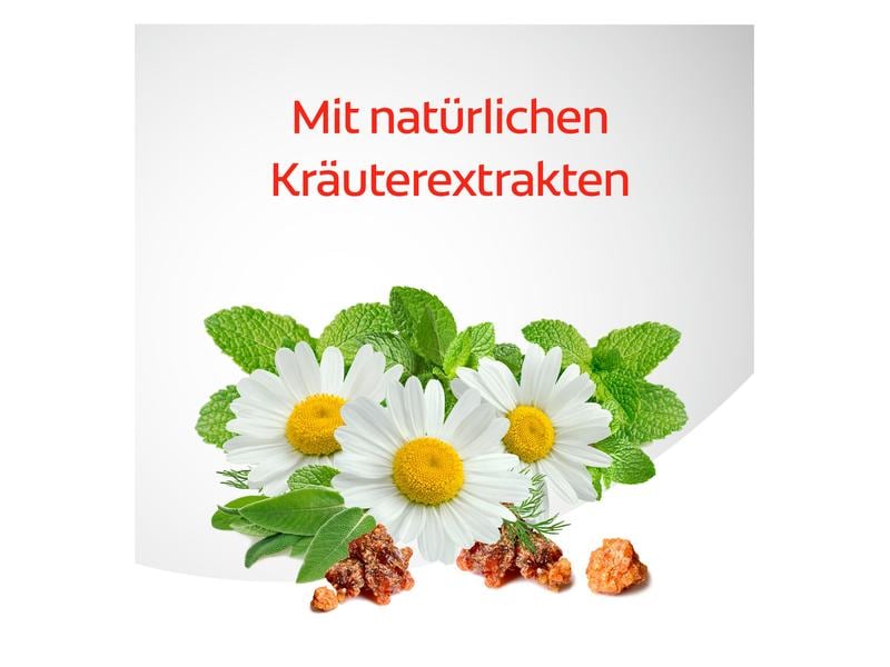 Colgate Zahnpasta Dentagard Original 100 ml Zahncrème mit Naturkräuterextrakten