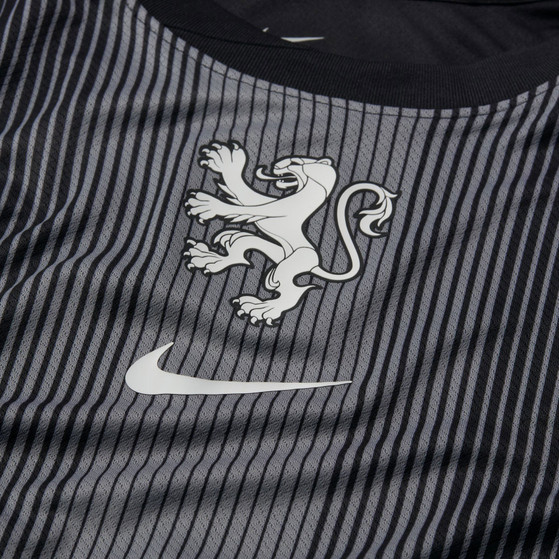 Nike Nederland Thuis Keepersshirt Leeuwinnen Dames