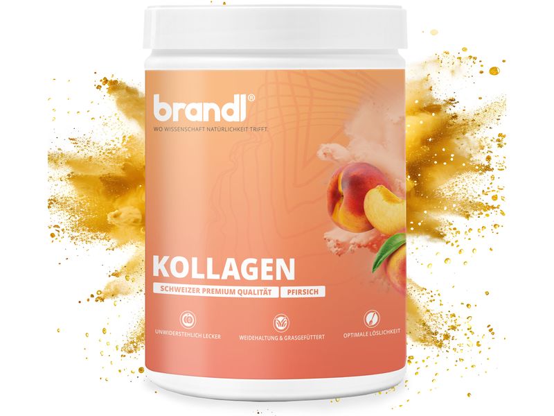 Brandl-Nutrition Pulver Kollagen Pfirsich 550 g Kollagen Pulver