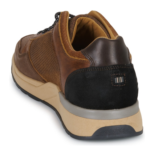 Bullboxer -  - Marron