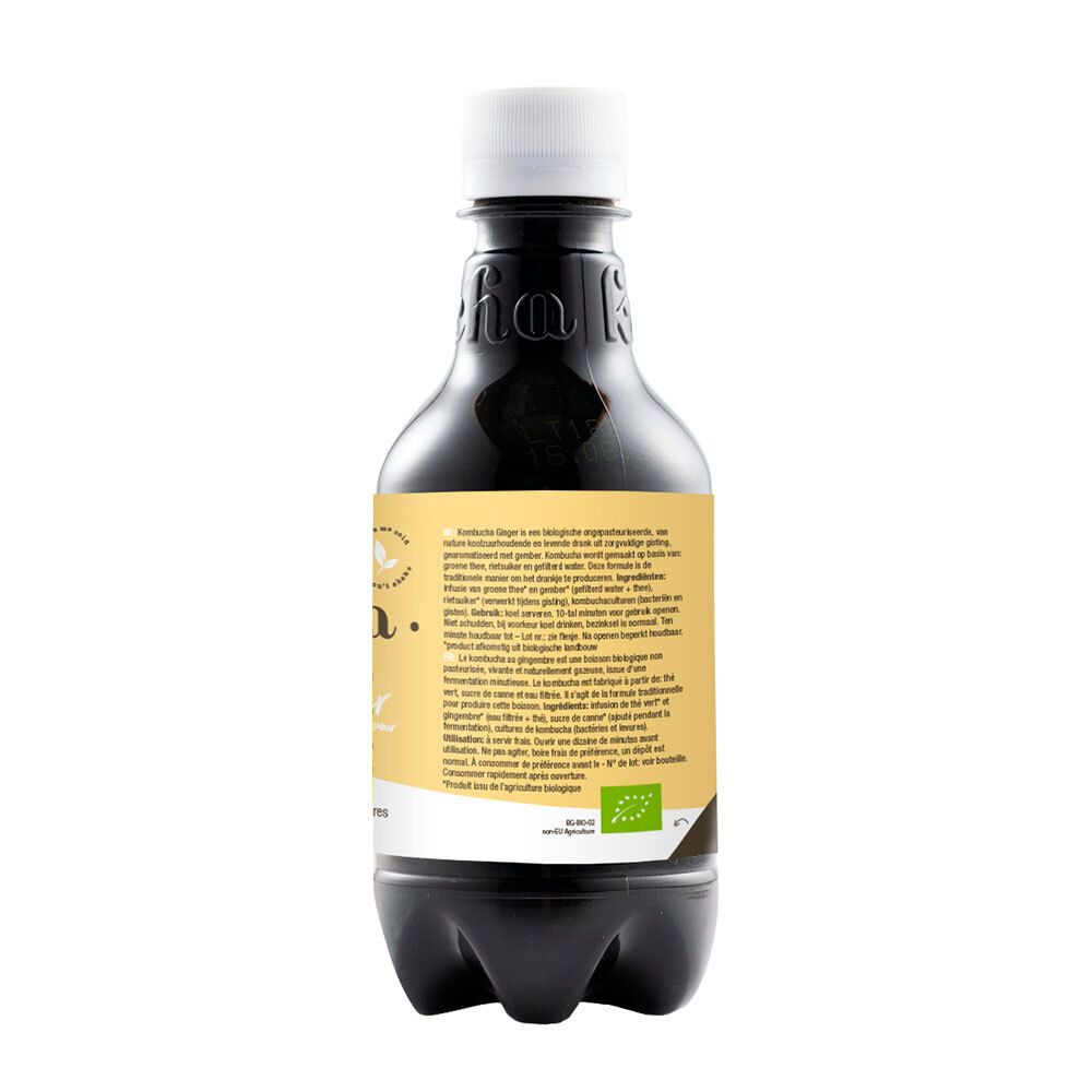 purasana® Kombucha frischer Ingwer