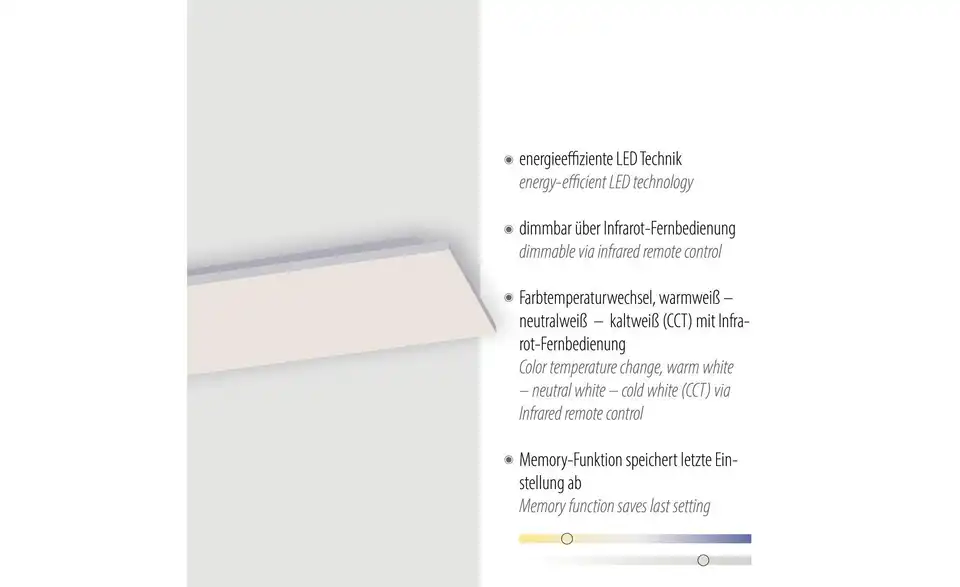 Paul Neuhaus LED Deckenleuchte
