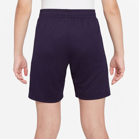 Nike Frankrijk Strike Short Kids 2024/2026