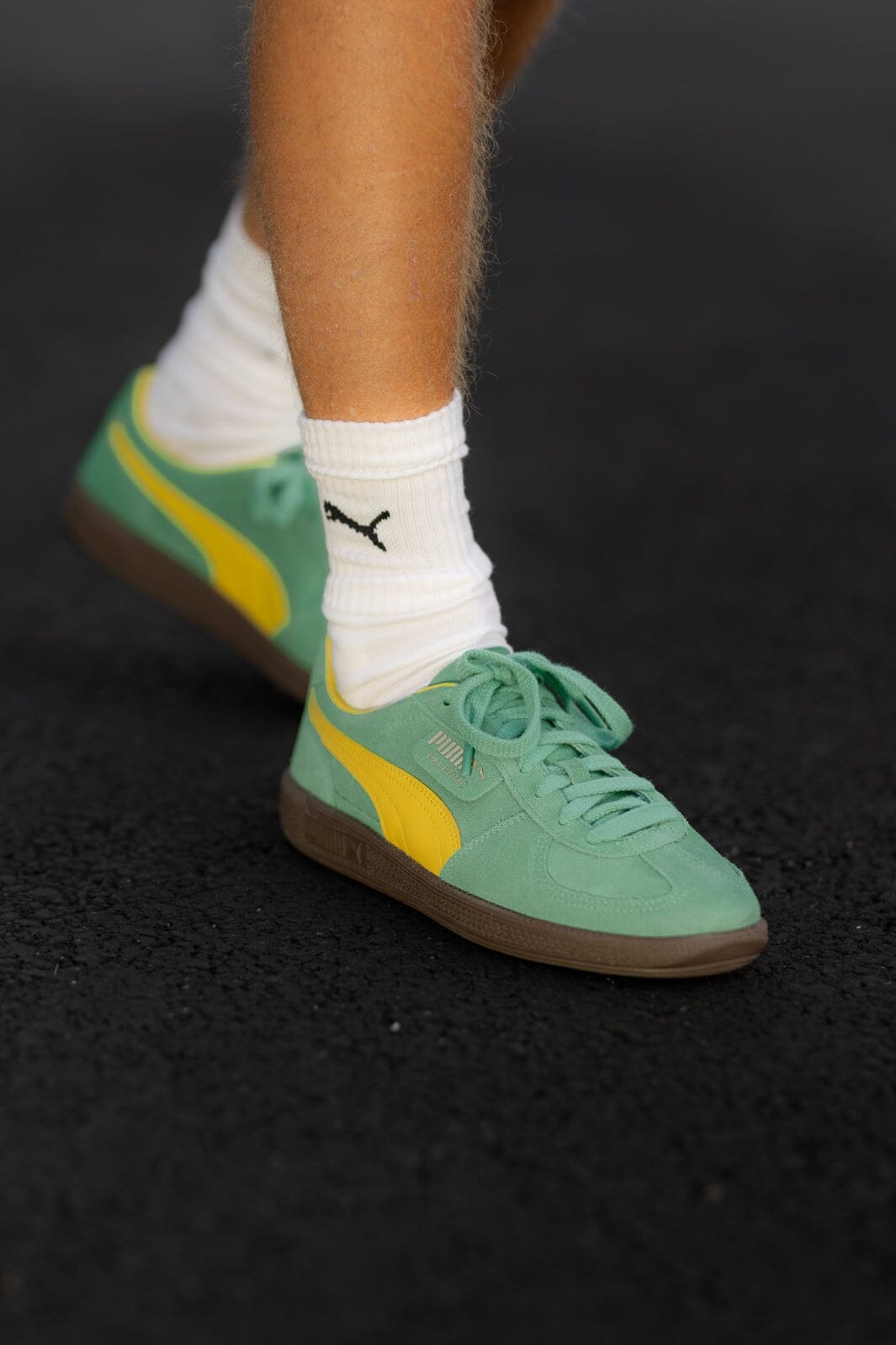 Puma Palermo green 18