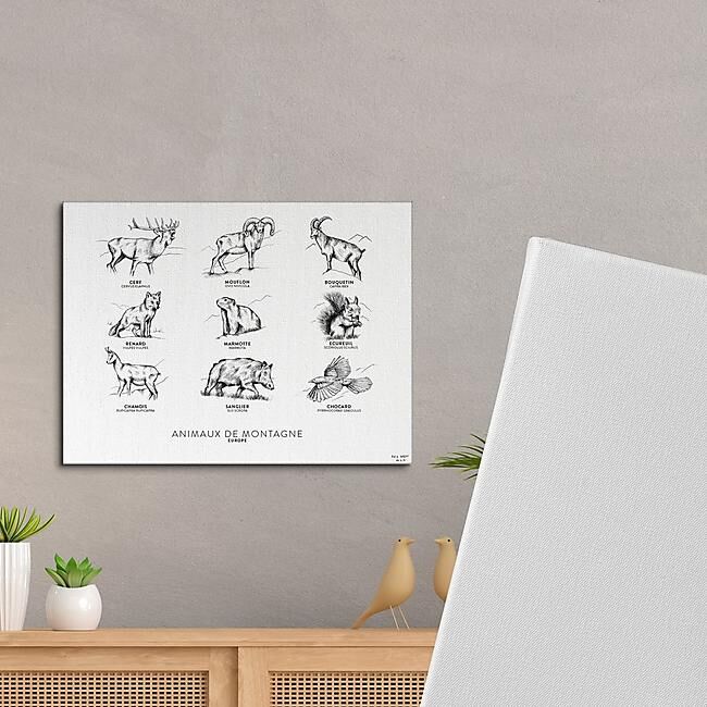 TOILE ANIMAUX DES MONTAGNES