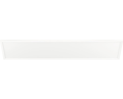 Philips Hue Paneel White Ambiance 39W 3550 lm 30x120 cm wit + dimmer - Compatibel met SMART HOME van Hornbach