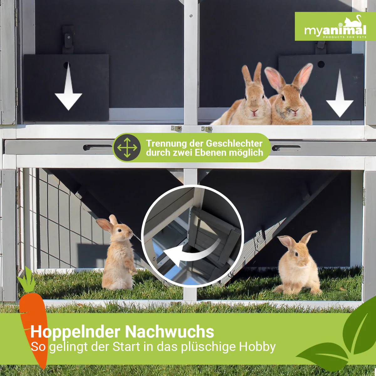 MyAnimal Hasenstall MH-33, 2-stöckig, Bogendach aufklappbar, wetterfester Kaninchenstall, Holz, Grau