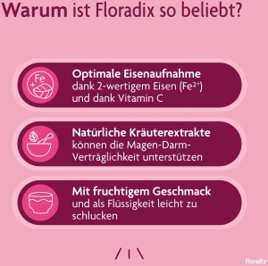 Floradix Eisen + Vitamine Profit Pack 500 ml