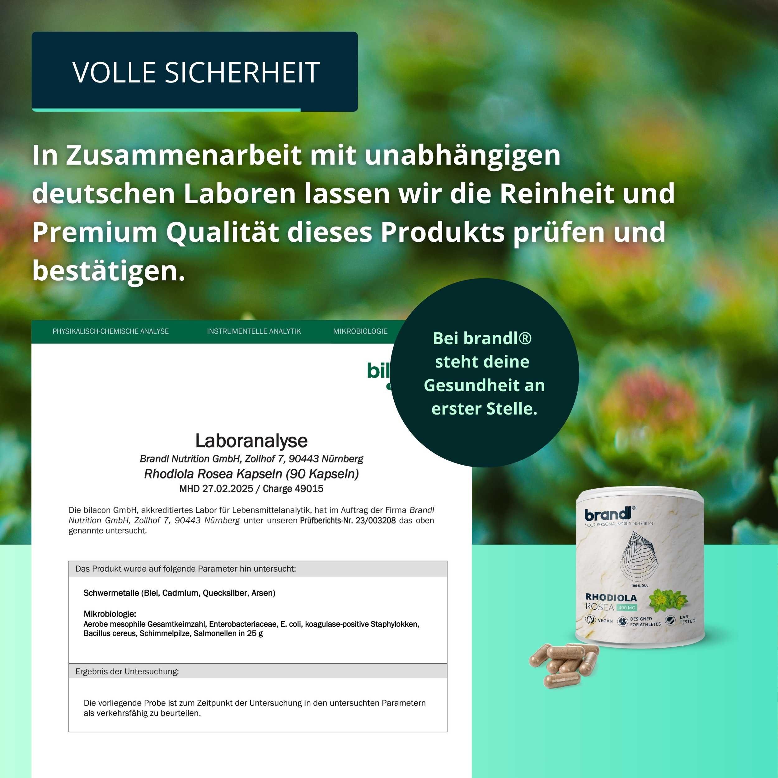 brandl® Rhodiola Rosea Extrakt (Rosenwurz)