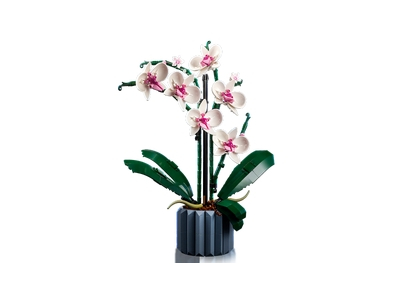 LEGO Orchidee (10311)