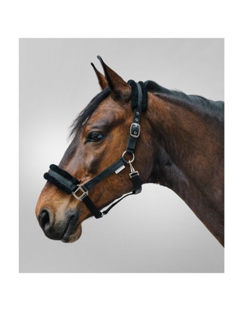 Waldhausen Halster First Zwart - Paardenhalster