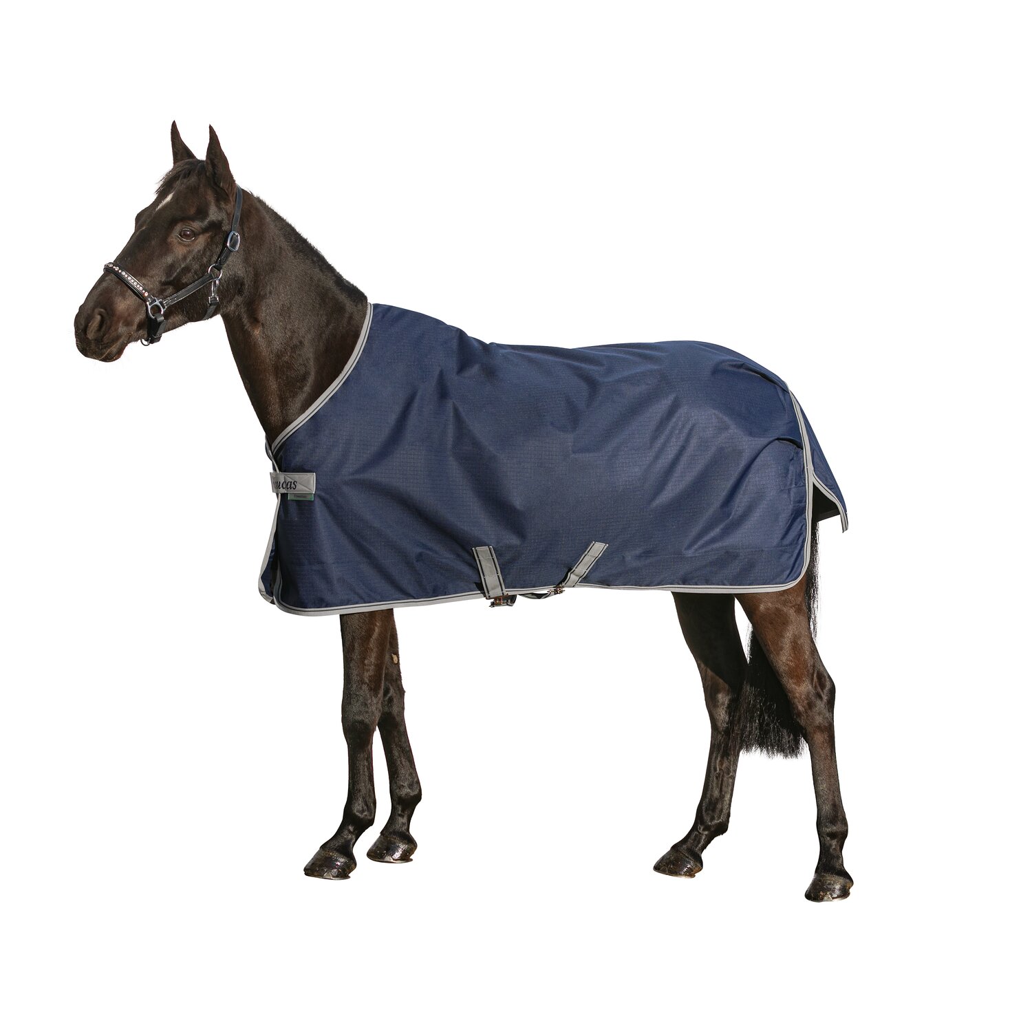 bucas Outdoordecke Freedom Turnout Light Pony  - navy