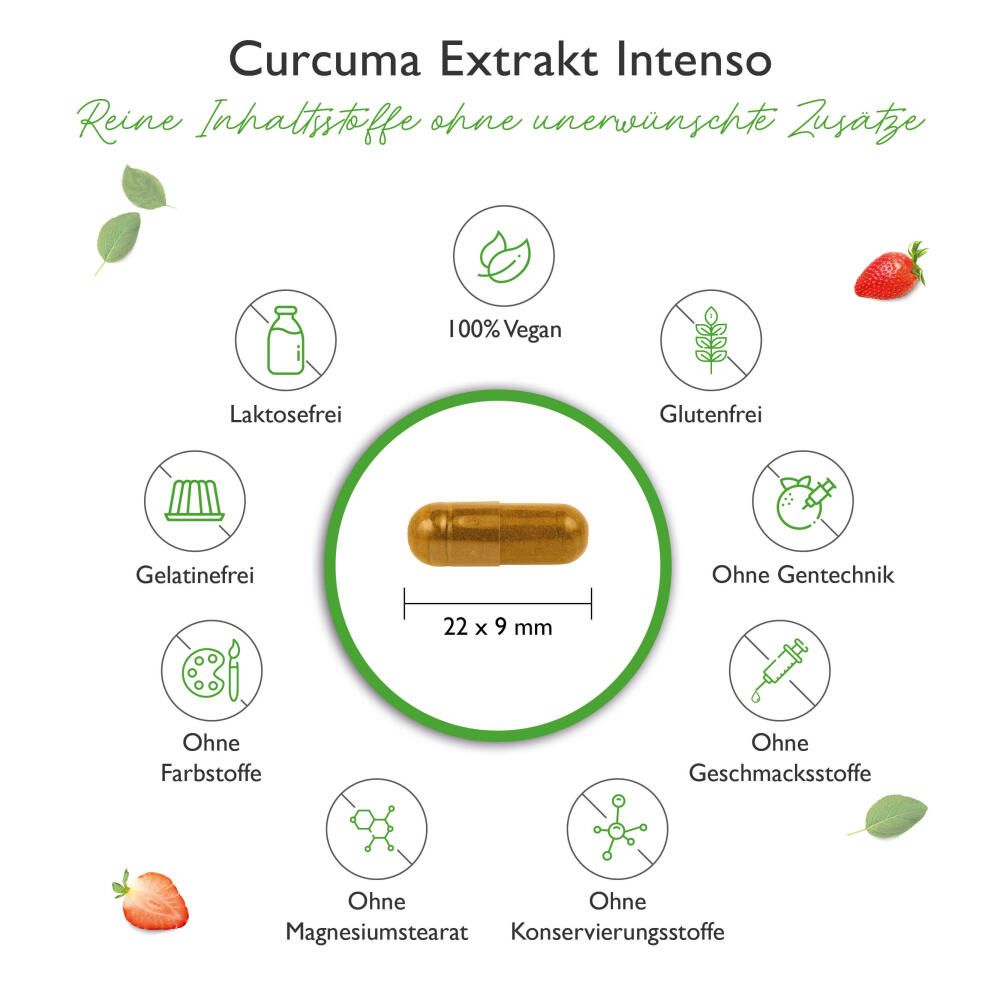 vit4ever Curcuma Extrakt Intenso