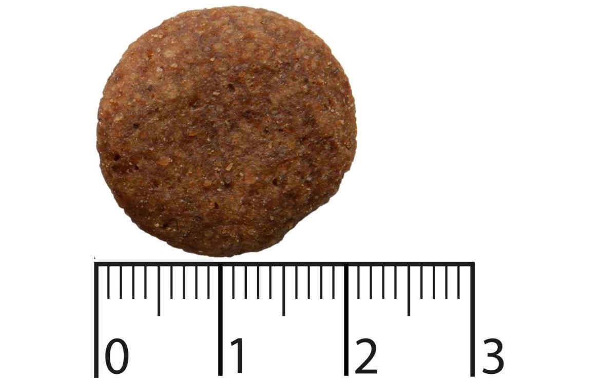 Trockenfutter Purely Adult Large Lachs & Rind, 2.5 kgGetreidefreies Alleinfutter für Hunde