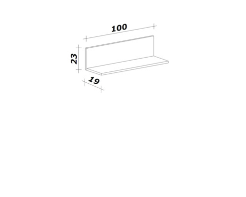 Flex Well Cara wandplank (B x D x H): 100 x 19 x 22,8 cm, eikenhouten design, matte afwerking, gedemonteerd