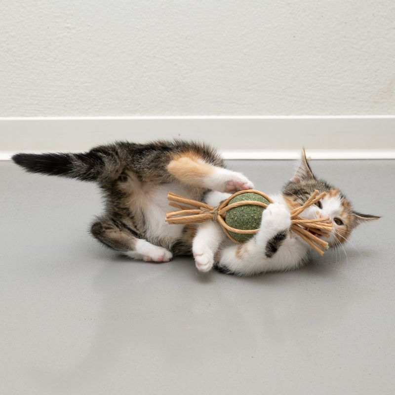 Jouet Modern Living Samarkand Bonbon garni de menthe à chat