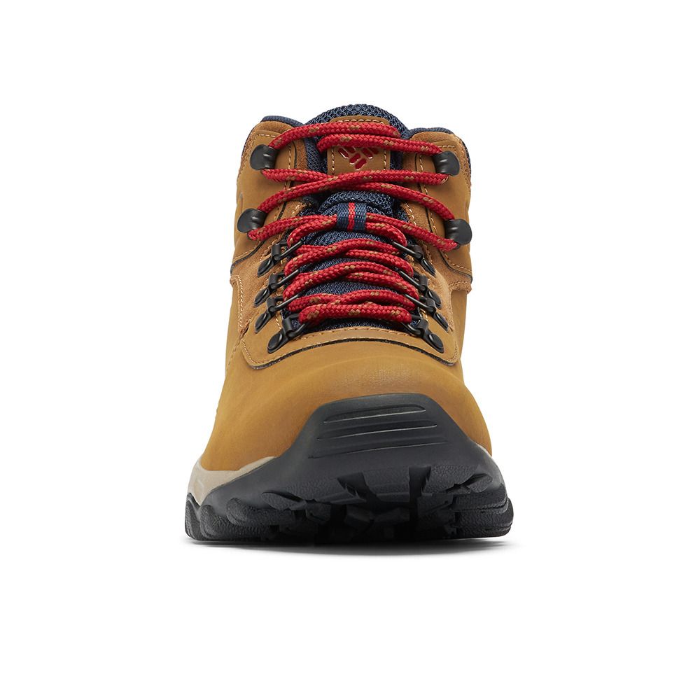 Columbia NEWTON RIDGE PLUS II WATERPROOF - Chaussures randonné Homme brown