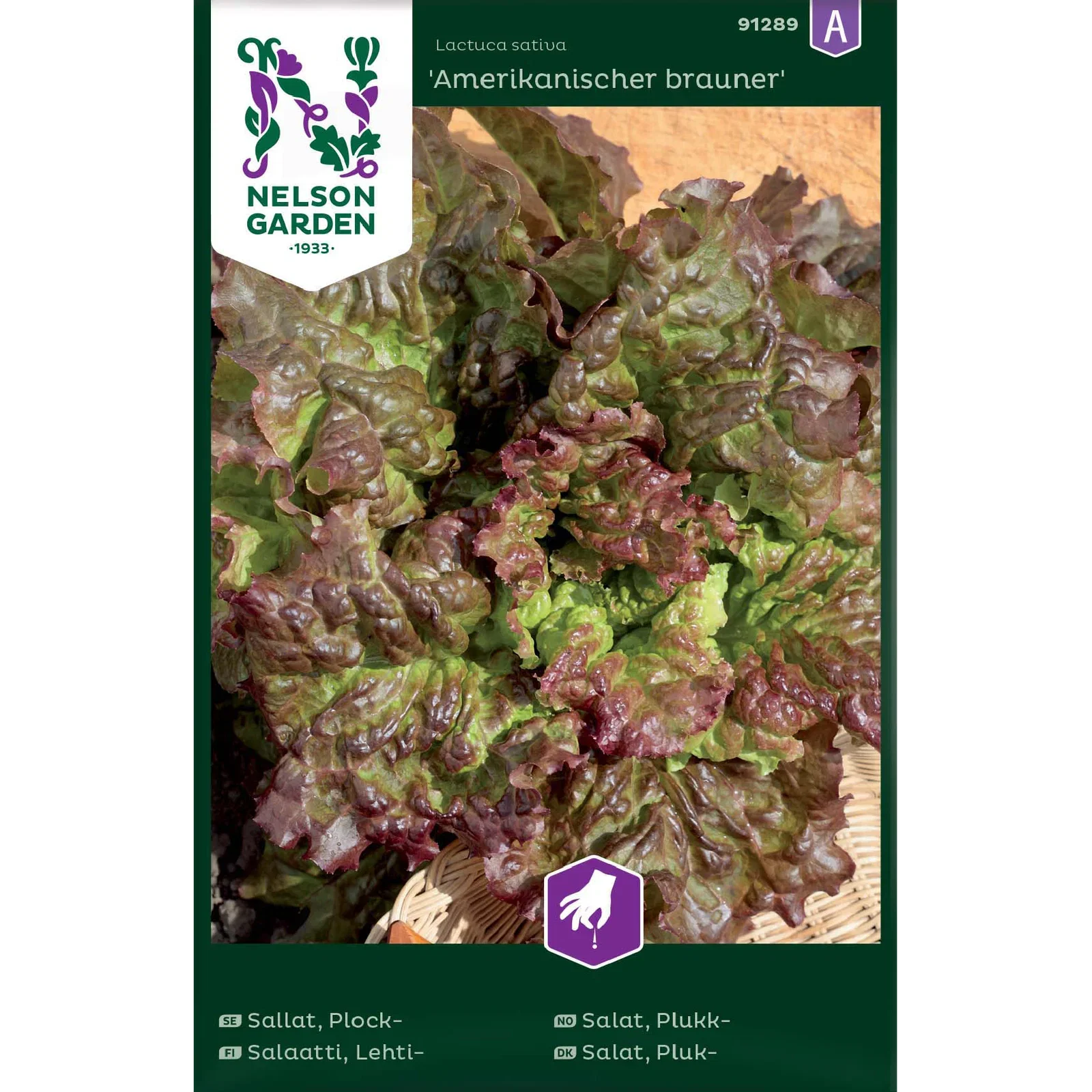 Lactuca sativa 'Amerikanischer brauner', Bladsalat 'Amerikanischer brauner'
