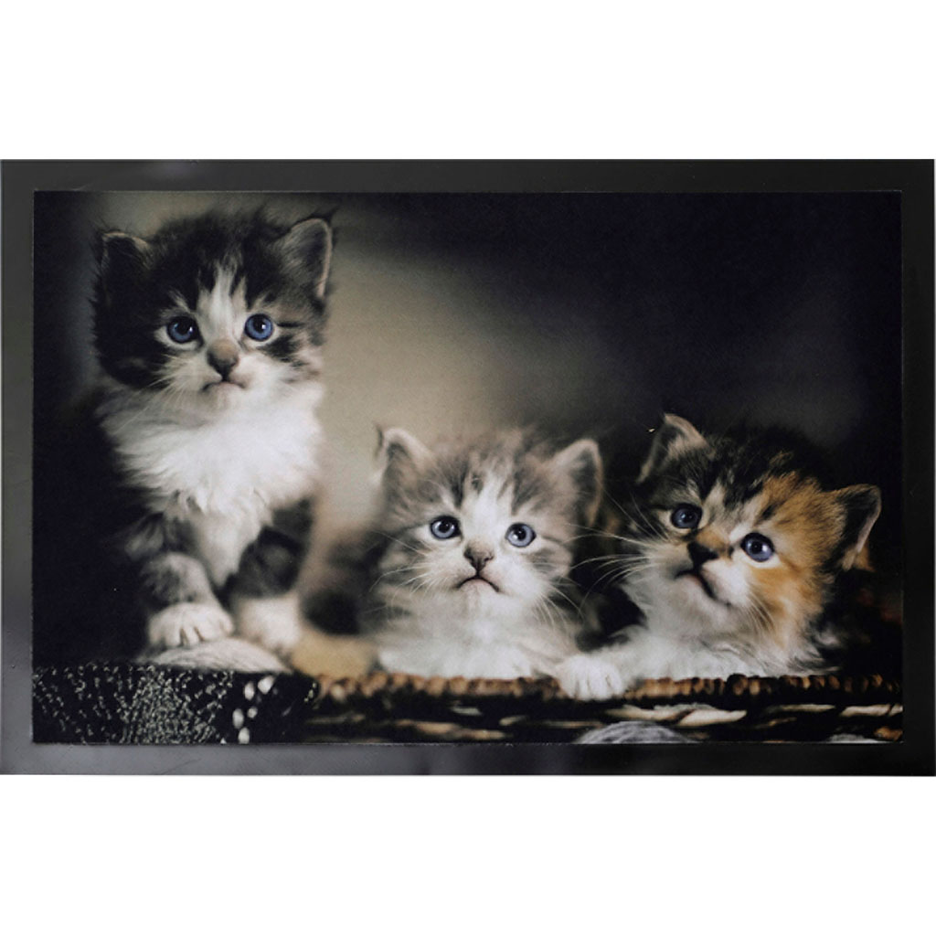 Tapis d'entrée CHATONS 40x60cm