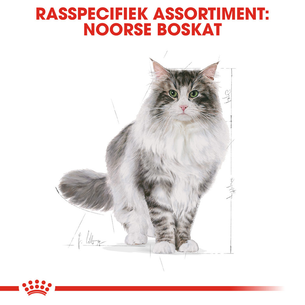 Royal Canin Norwegian Forest Cat Adult - Kattenvoer