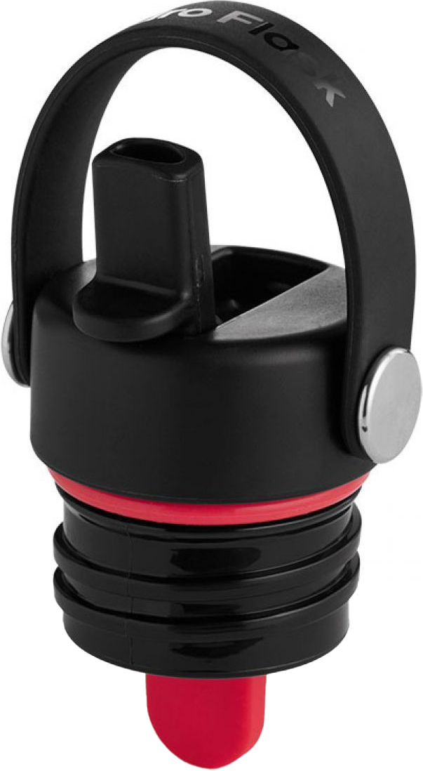 Standard Flex Straw Cap Black