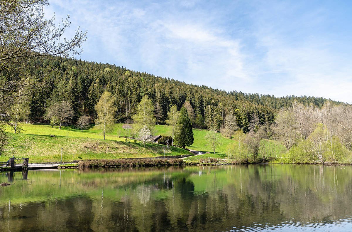 Kurzurlaub Schwarzwald