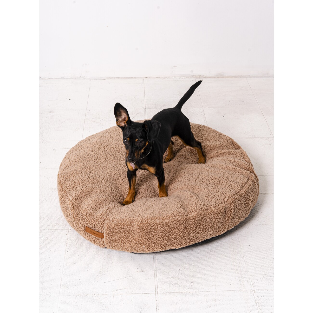 Rexproduct Coco Teddy S