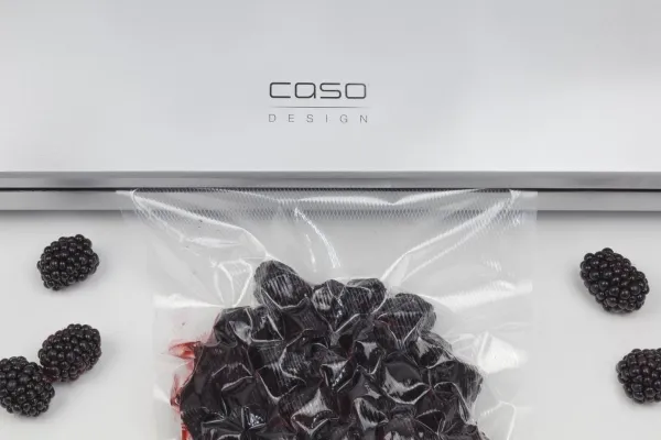 Caso | Bar Vacuum Sealer | GourmetVAC 480 | Effekt 160 W | Sølv