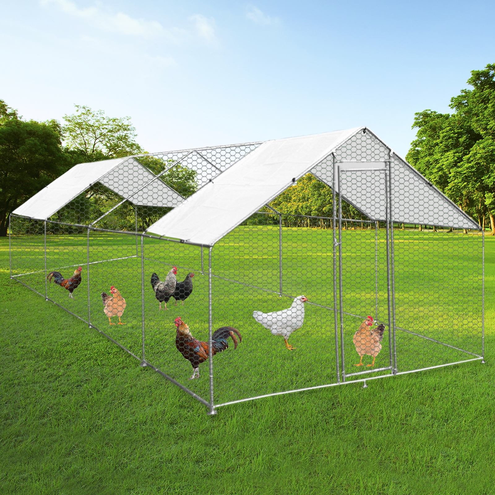 Gaiola para aves, cercado, caixa para galinhas, aço, 4m x 8m x 2m