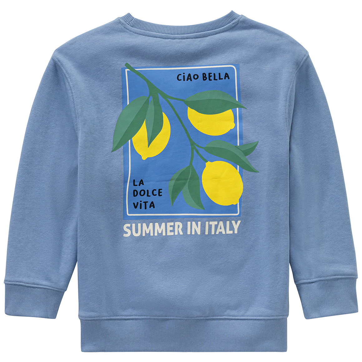 Jonas Nielsen Jungen Sweatshirt mit Backprint hellblau
